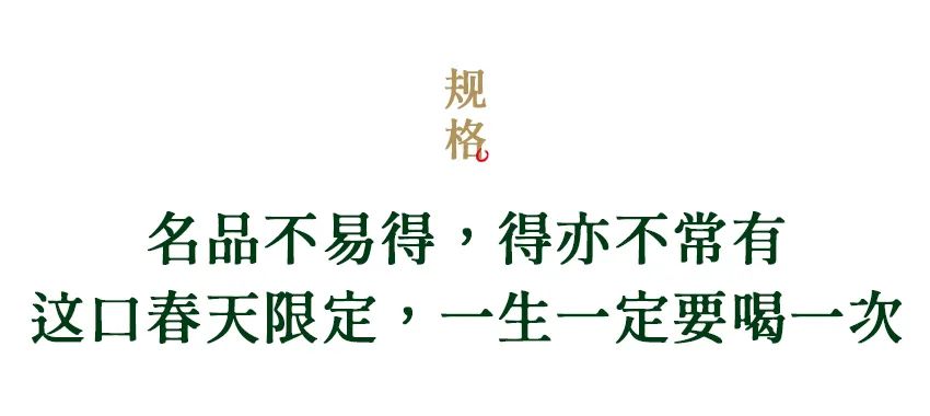 喝到这杯，才是真春天！来自西湖狮峰山的龙井，核心产区鲜爽馥郁，一口难忘  第38张