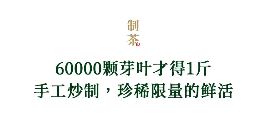 喝到这杯，才是真春天！来自西湖狮峰山的龙井，核心产区鲜爽馥郁，一口难忘  第23张