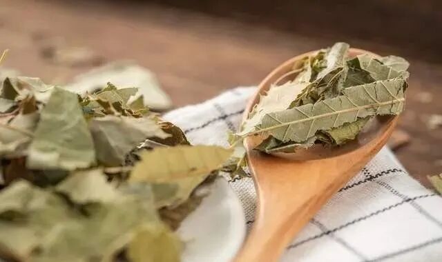 补肾不是男人的专利，女性吃淫羊藿会怎么样？你知道吗？