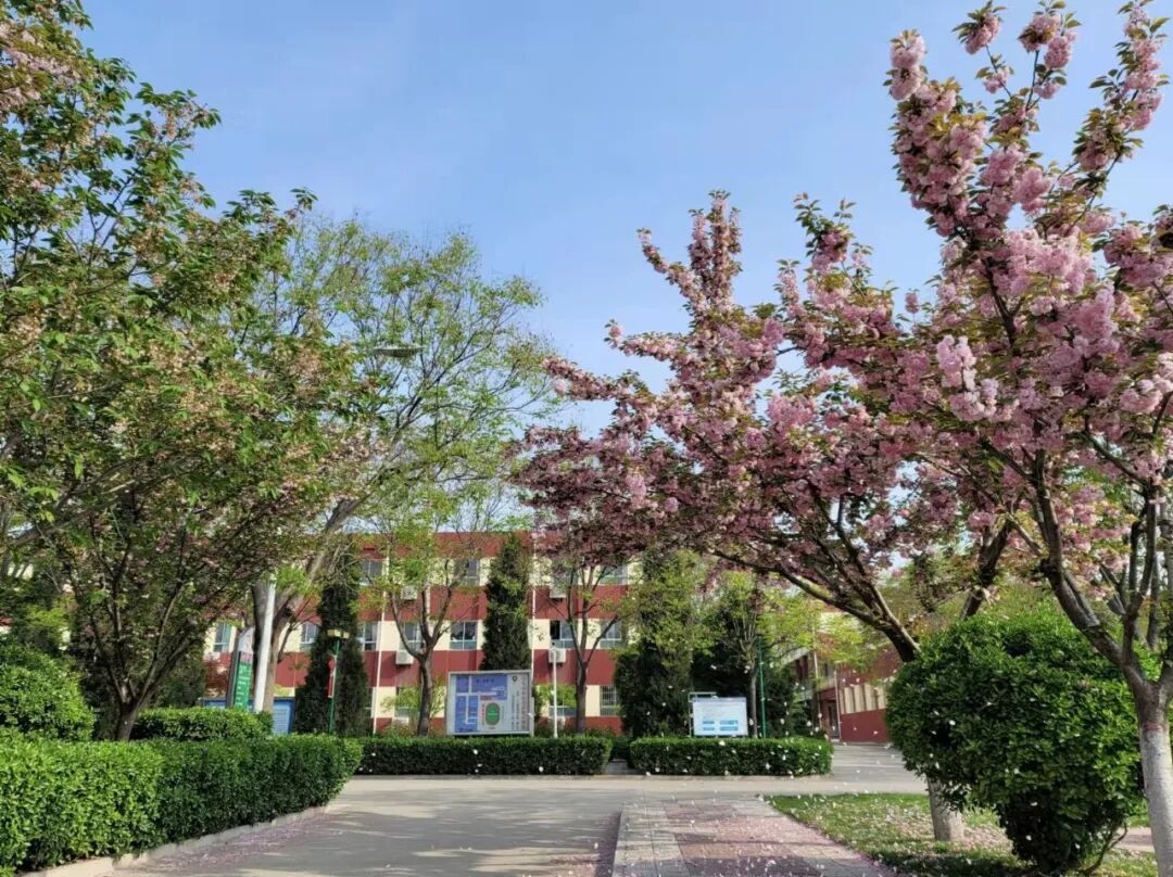 西咸新区泾华学校