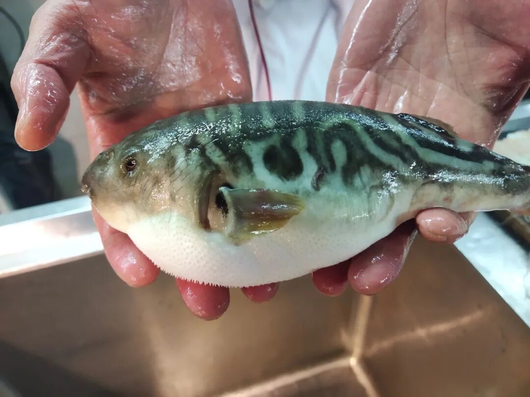 丹阳人这门手艺 不输扬中 丹阳帮 微信公众号文章阅读 Wemp