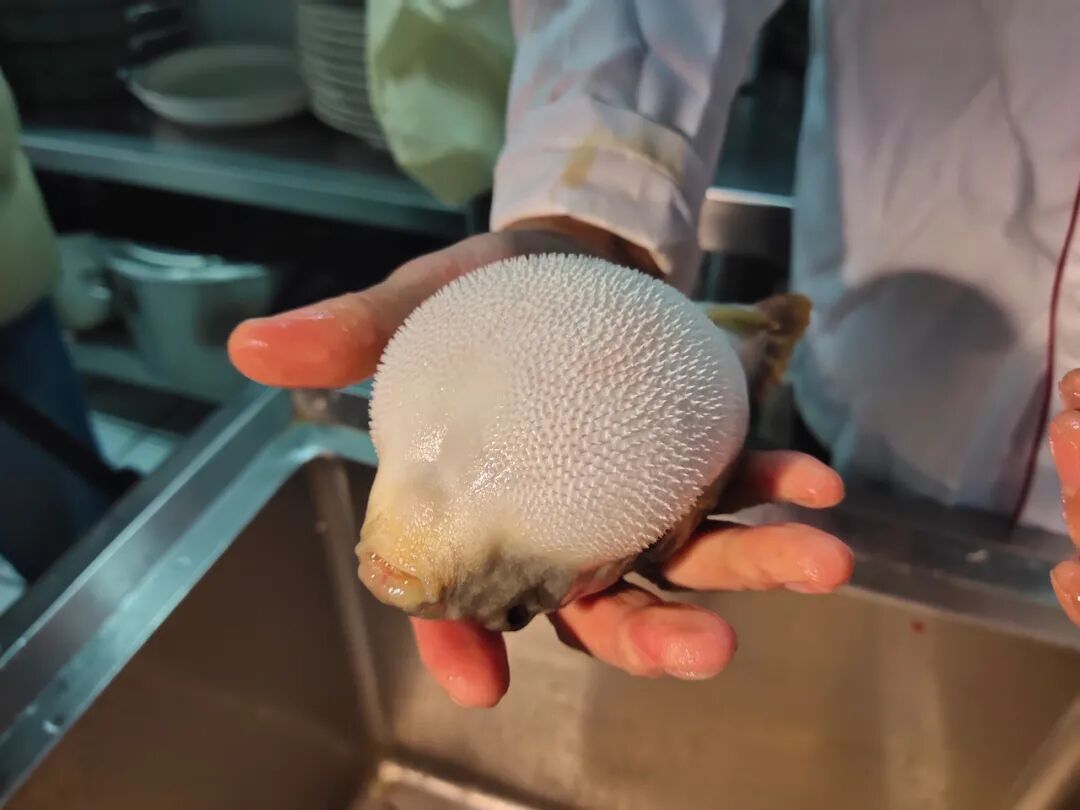 丹阳人这门手艺 不输扬中 丹阳帮 微信公众号文章阅读 Wemp