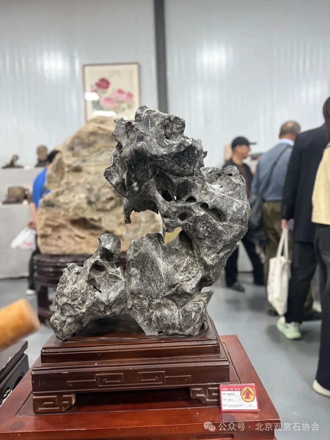 洛阳“愚公灵琢杯”国际赏石文化艺术展盛大开幕