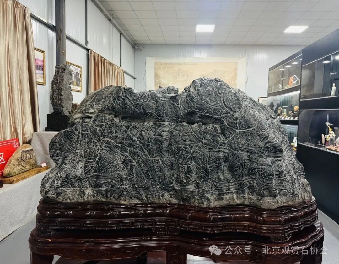 洛阳“愚公灵琢杯”国际赏石文化艺术展盛大开幕