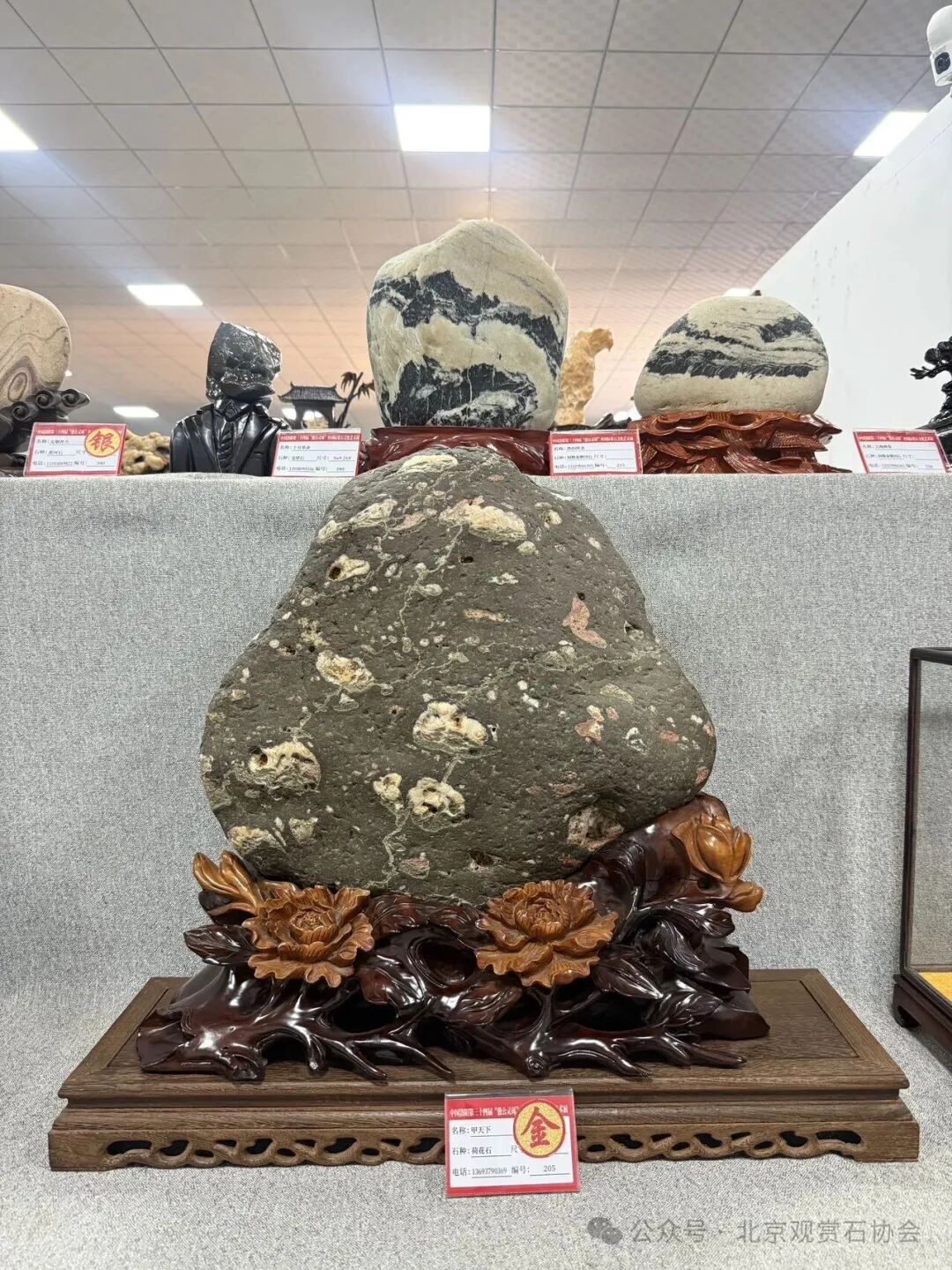 洛阳“愚公灵琢杯”国际赏石文化艺术展盛大开幕