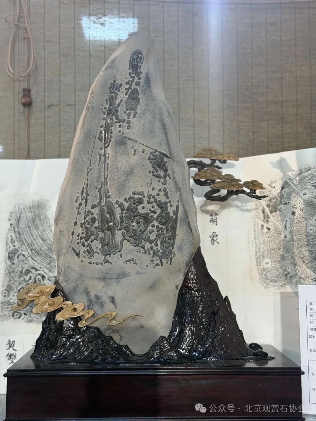 洛阳“愚公灵琢杯”国际赏石文化艺术展盛大开幕