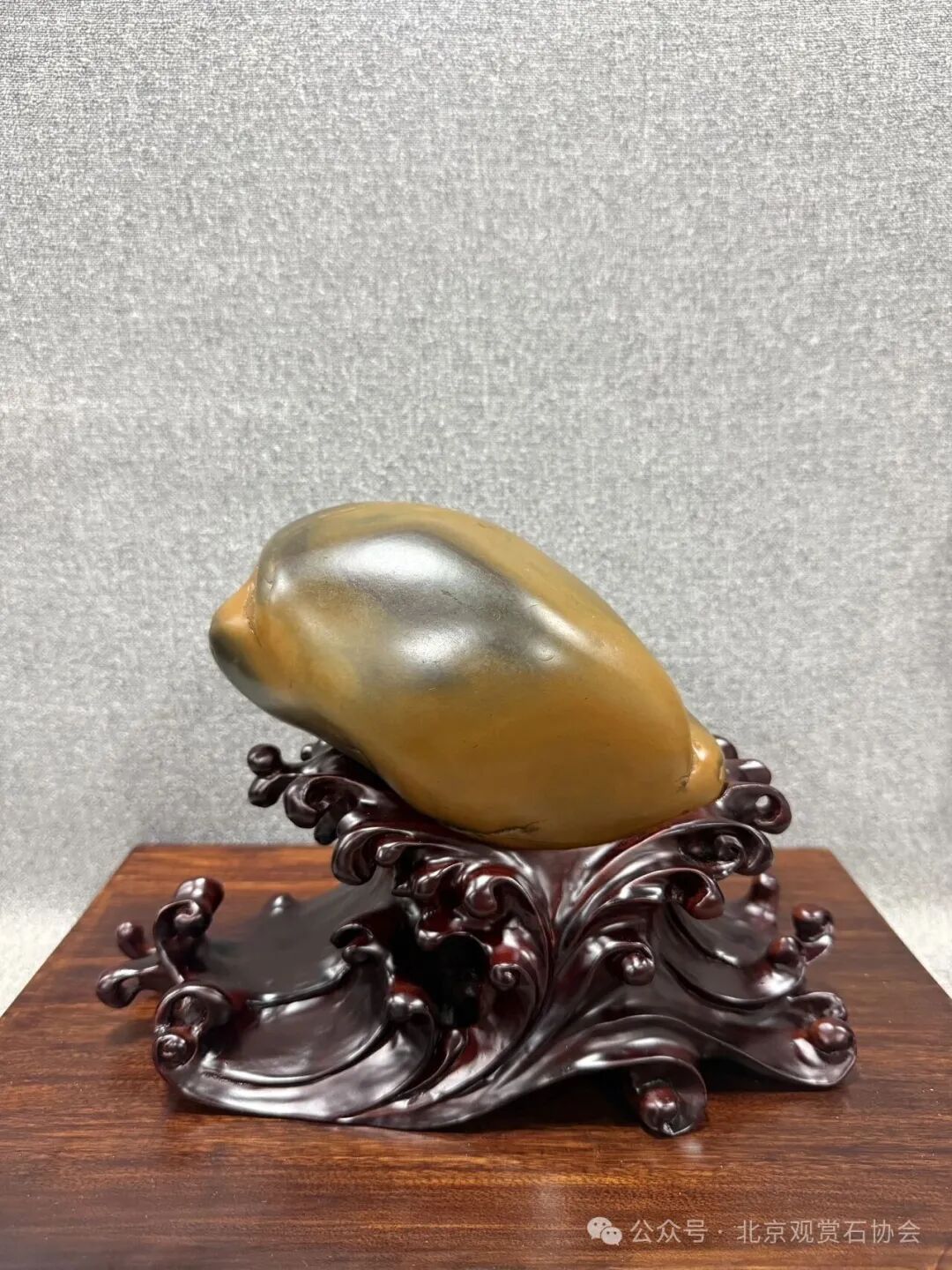 洛阳“愚公灵琢杯”国际赏石文化艺术展盛大开幕