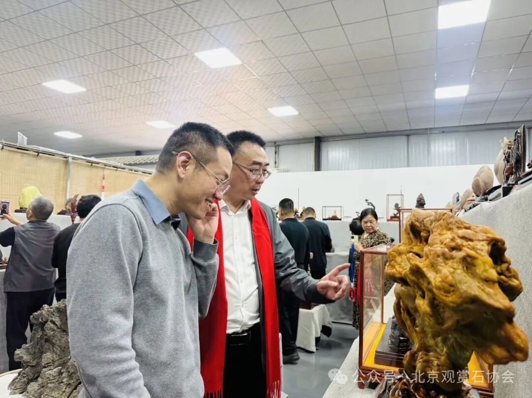 洛阳“愚公灵琢杯”国际赏石文化艺术展盛大开幕