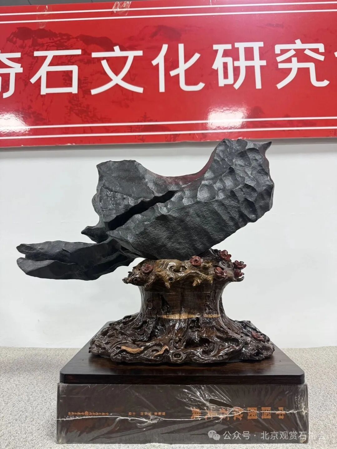 洛阳“愚公灵琢杯”国际赏石文化艺术展盛大开幕