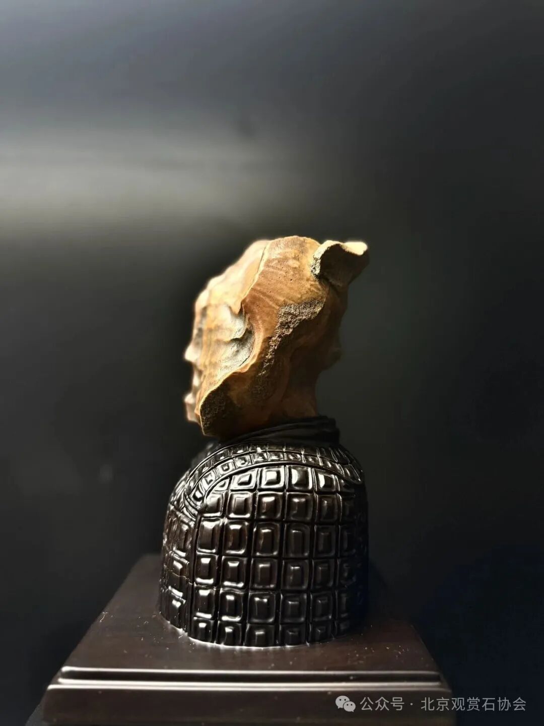 洛阳“愚公灵琢杯”国际赏石文化艺术展盛大开幕