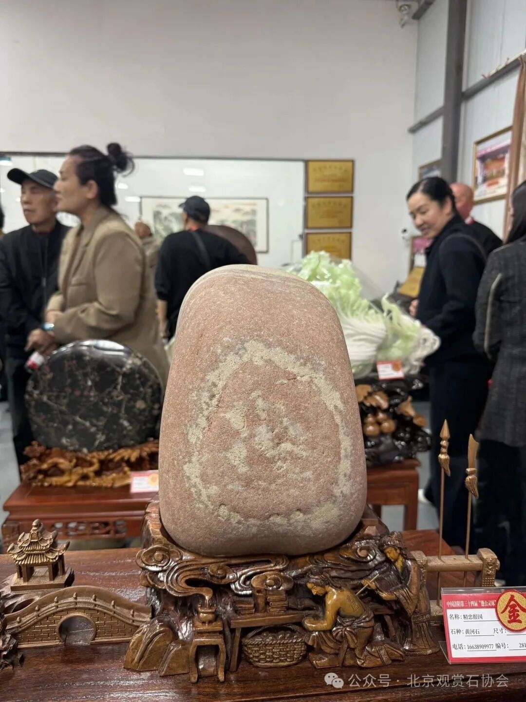 洛阳“愚公灵琢杯”国际赏石文化艺术展盛大开幕