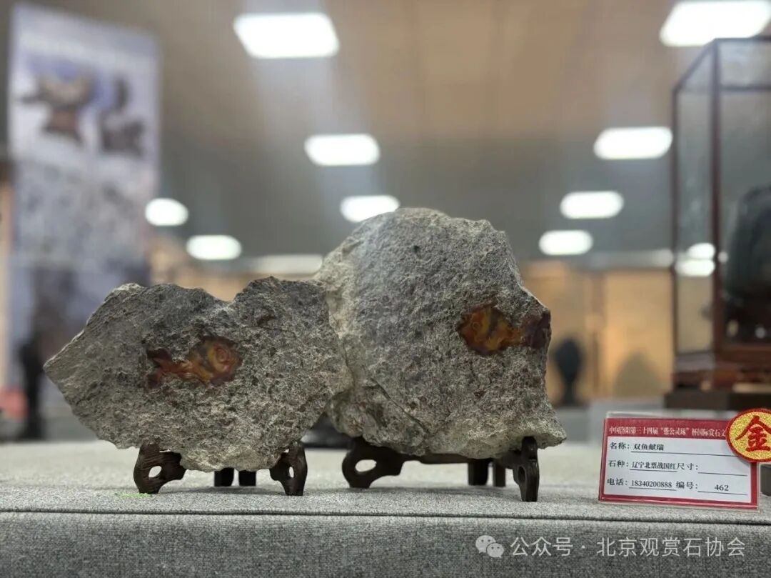 洛阳“愚公灵琢杯”国际赏石文化艺术展盛大开幕