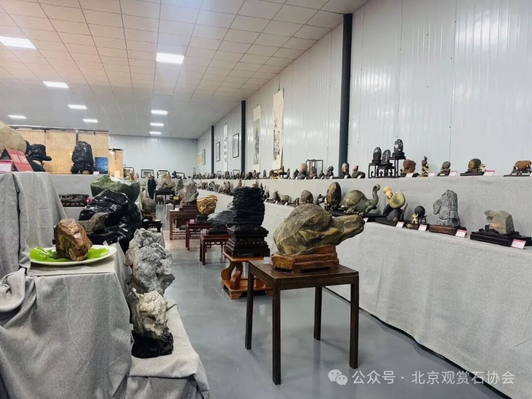 洛阳“愚公灵琢杯”国际赏石文化艺术展盛大开幕