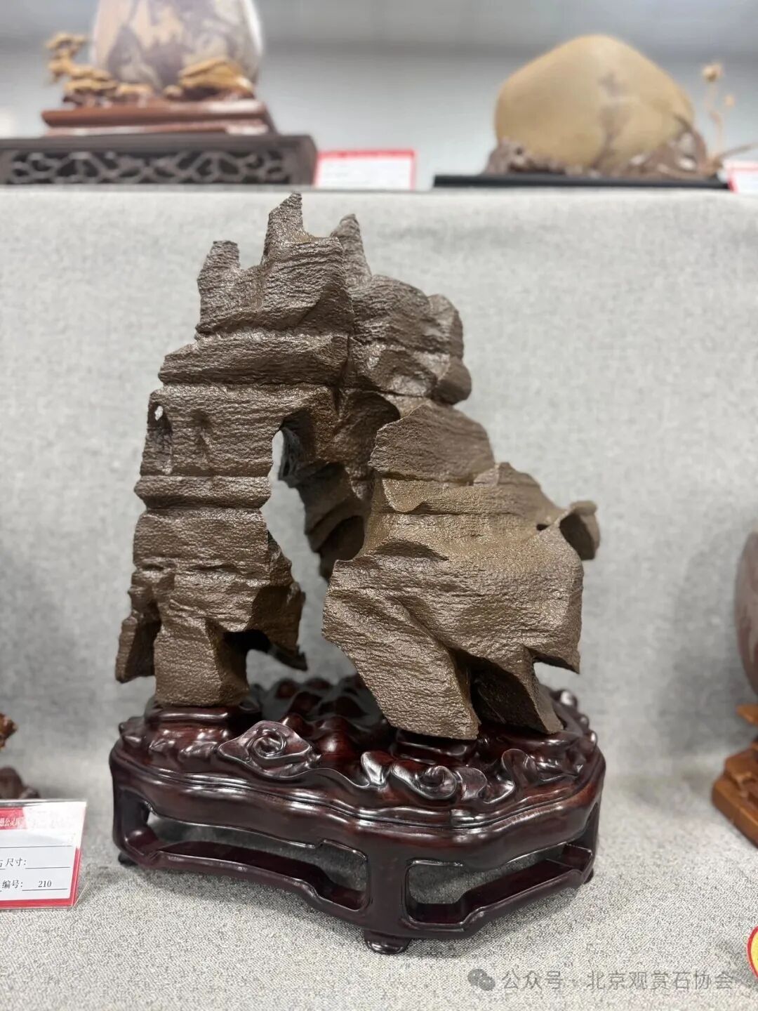 洛阳“愚公灵琢杯”国际赏石文化艺术展盛大开幕