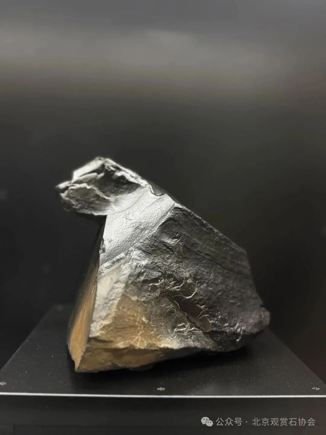 洛阳“愚公灵琢杯”国际赏石文化艺术展盛大开幕