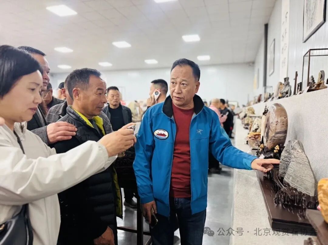 洛阳“愚公灵琢杯”国际赏石文化艺术展盛大开幕