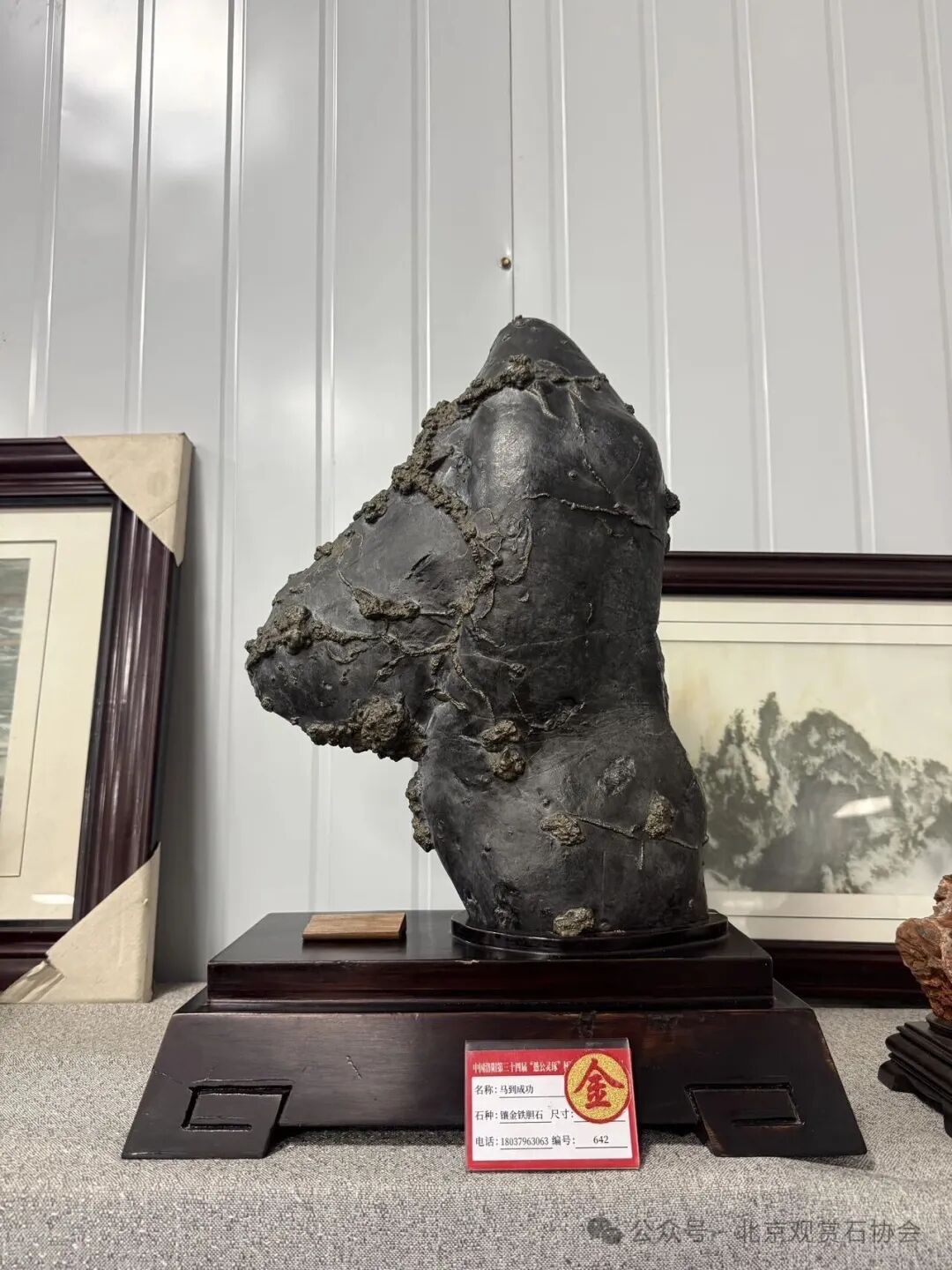 洛阳“愚公灵琢杯”国际赏石文化艺术展盛大开幕