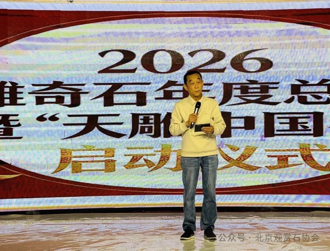 洛阳“愚公灵琢杯”国际赏石文化艺术展盛大开幕