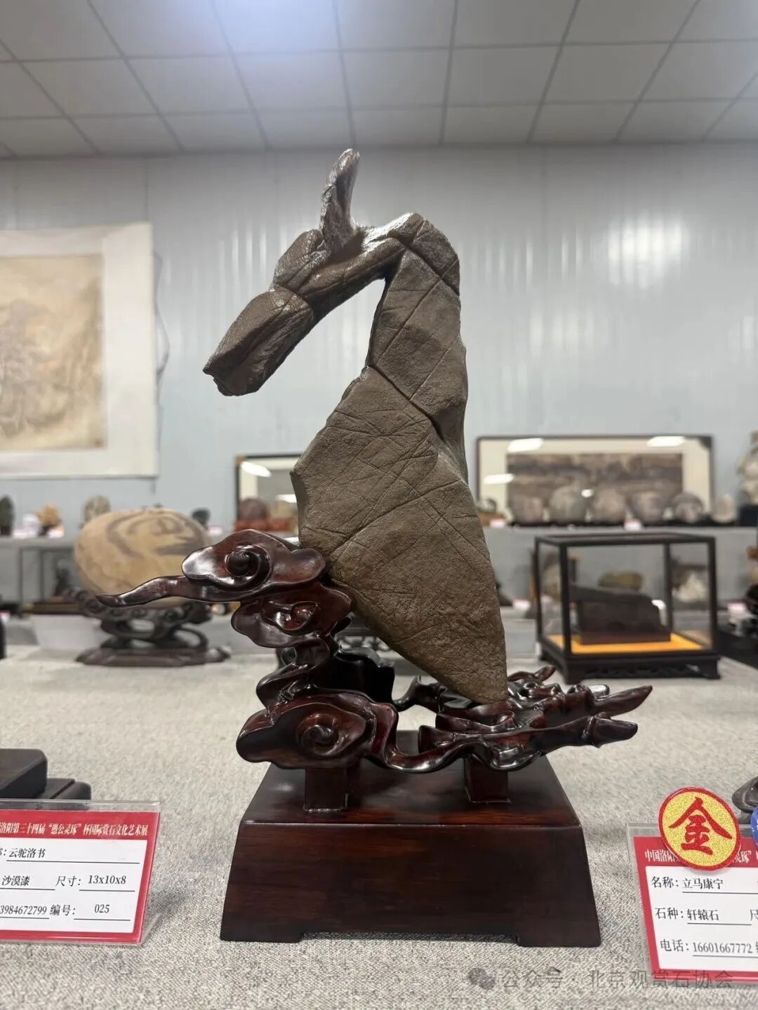 洛阳“愚公灵琢杯”国际赏石文化艺术展盛大开幕