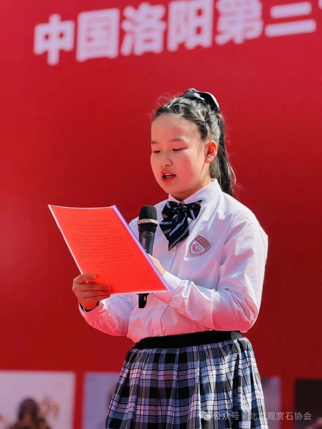 洛阳“愚公灵琢杯”国际赏石文化艺术展盛大开幕