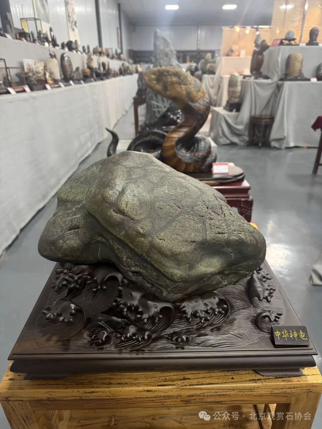 洛阳“愚公灵琢杯”国际赏石文化艺术展盛大开幕