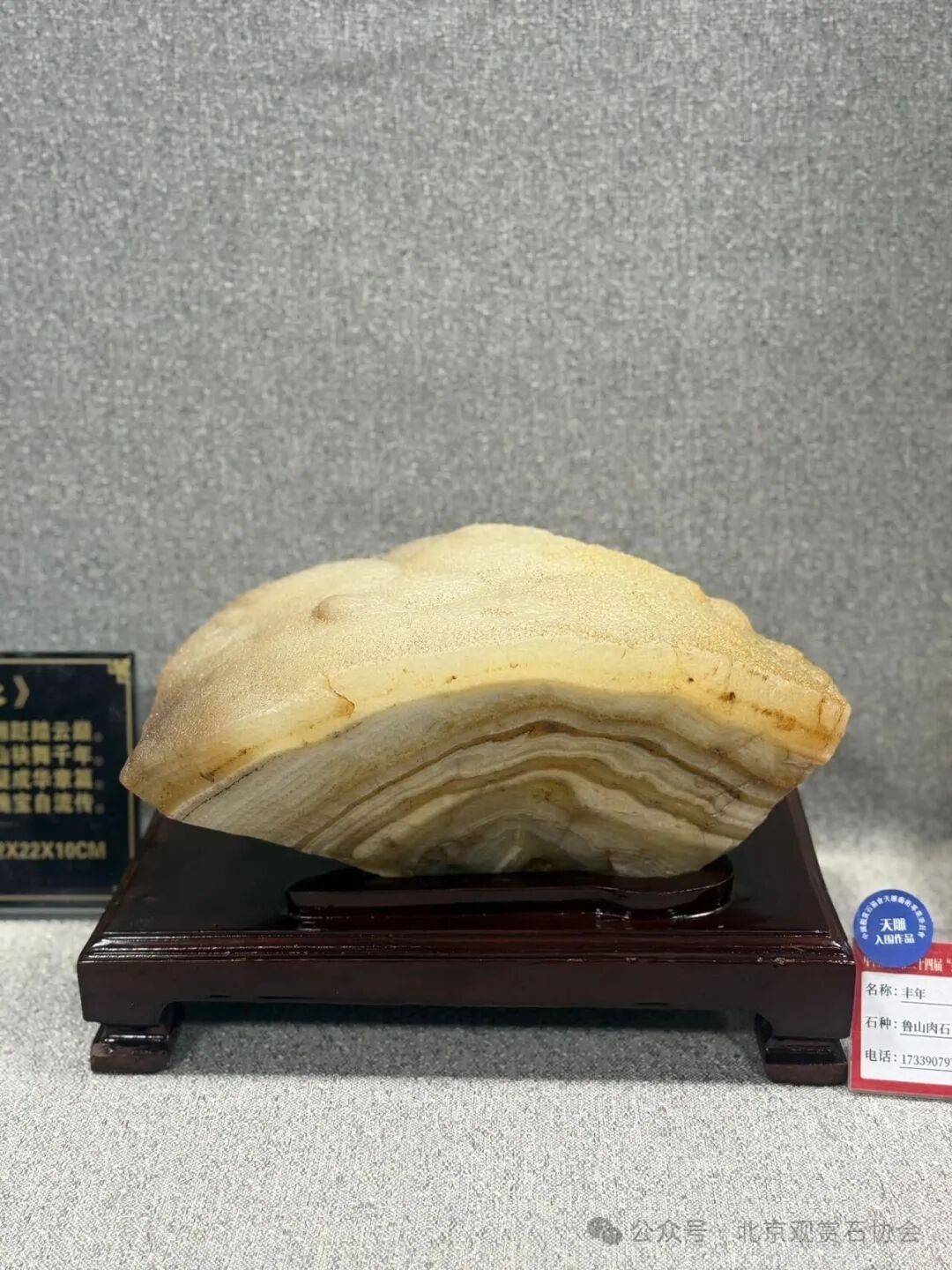 洛阳“愚公灵琢杯”国际赏石文化艺术展盛大开幕