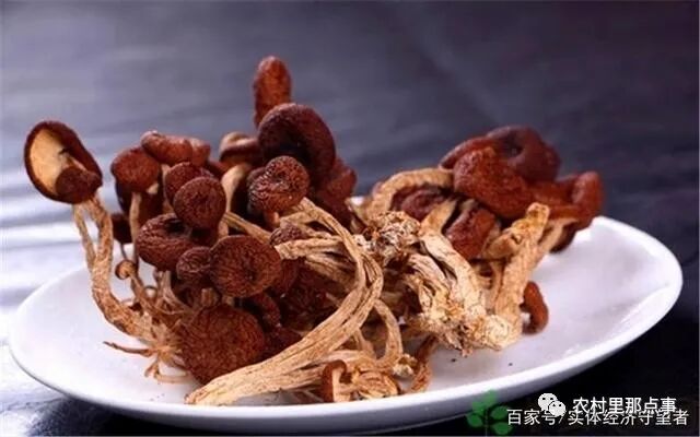 创业左右项目怎么做_5万左右创业项目_创业项目精选