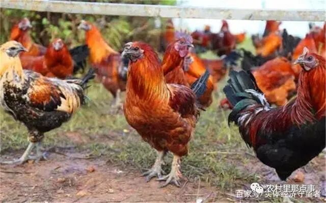 5万左右创业项目_创业左右项目怎么做_创业项目精选