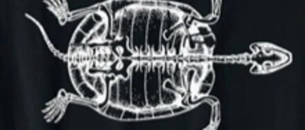 Example Image