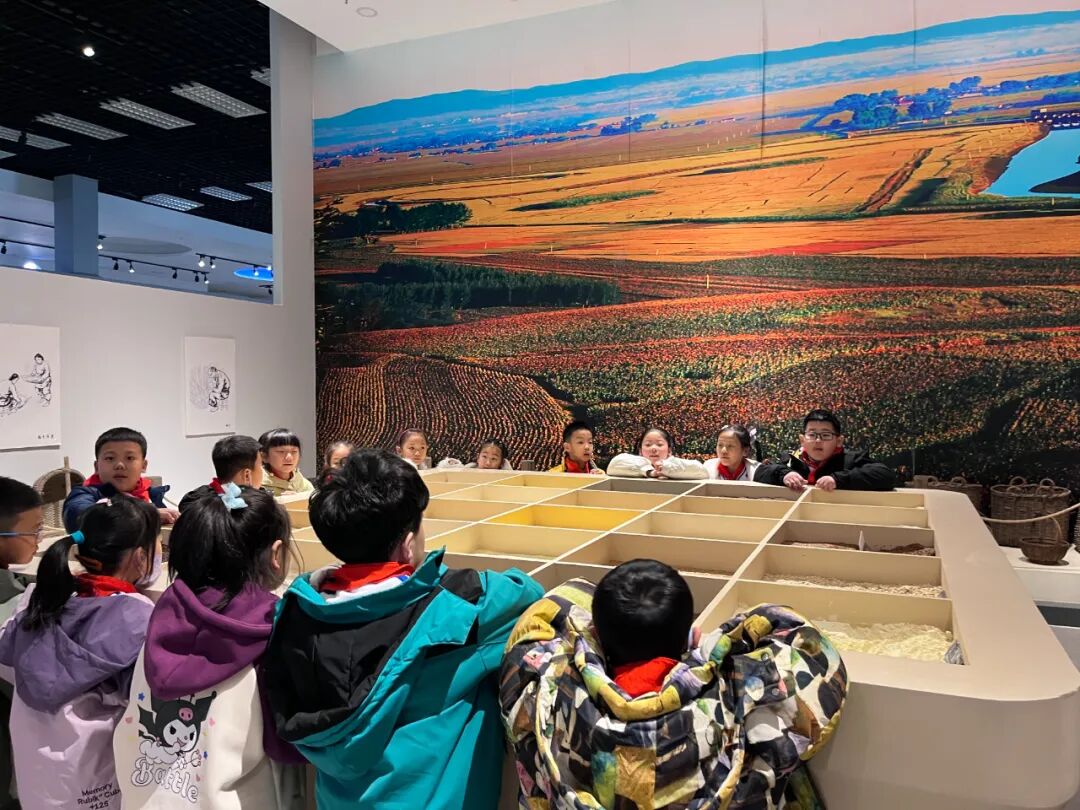 净月这所小学的研学活动不一般孩子们和农作物亲密接触