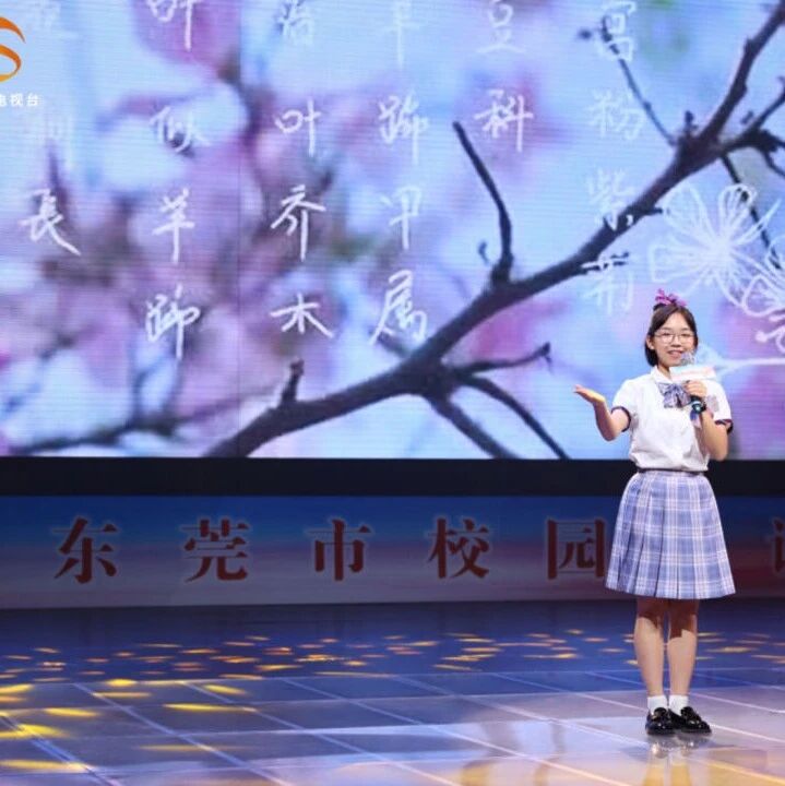 【青春语文·淑桦专栏】紫荆提灯 花开引路