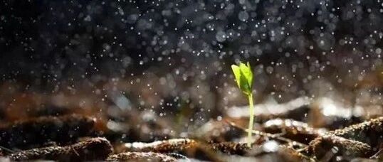 谁都有雨天没伞的时候