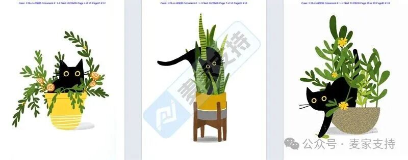 6-cv-00834，26-cv-00835，蝴蝶结与黑猫双双维权，近80店面临TRO冻结风险！"