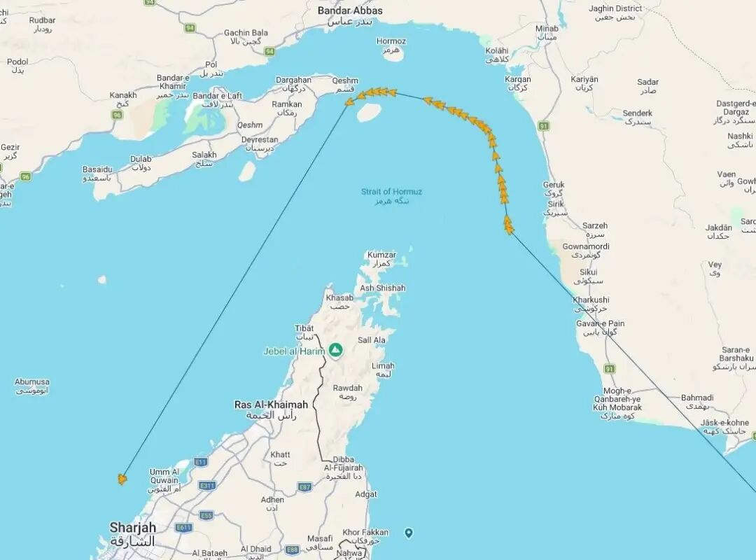 2879448_1774020705686 (1).jpg