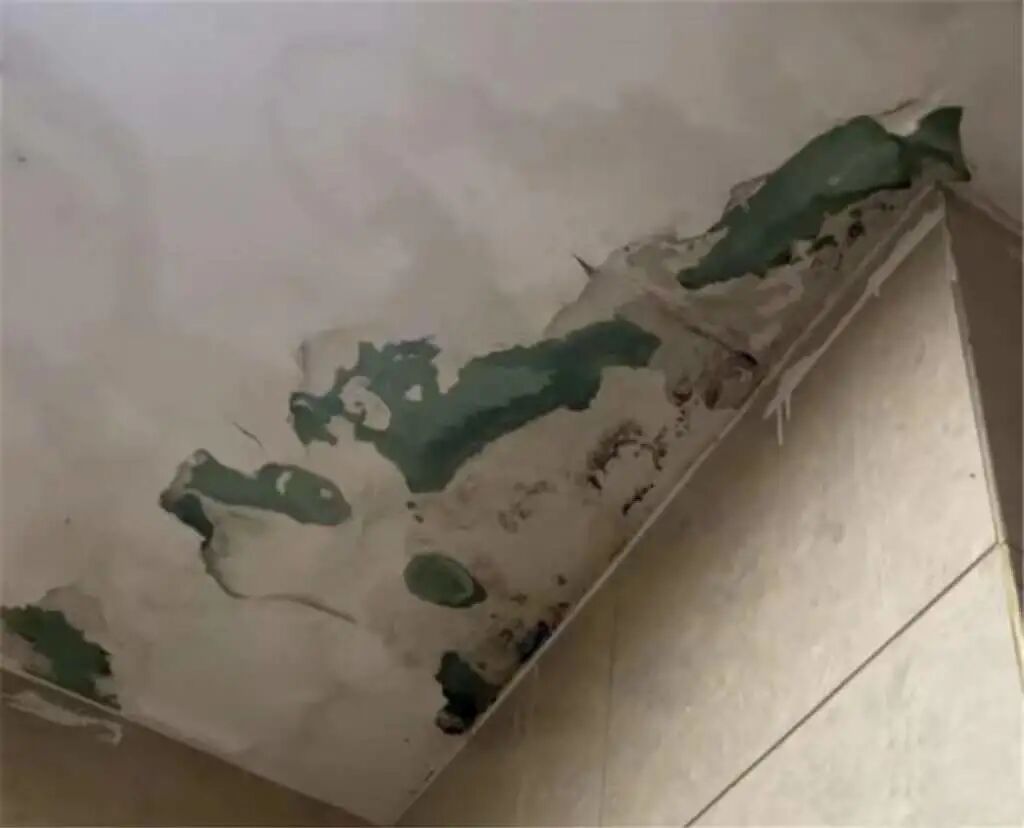 踩过800次坑才敢告诉你：卫生间硬装别这么做