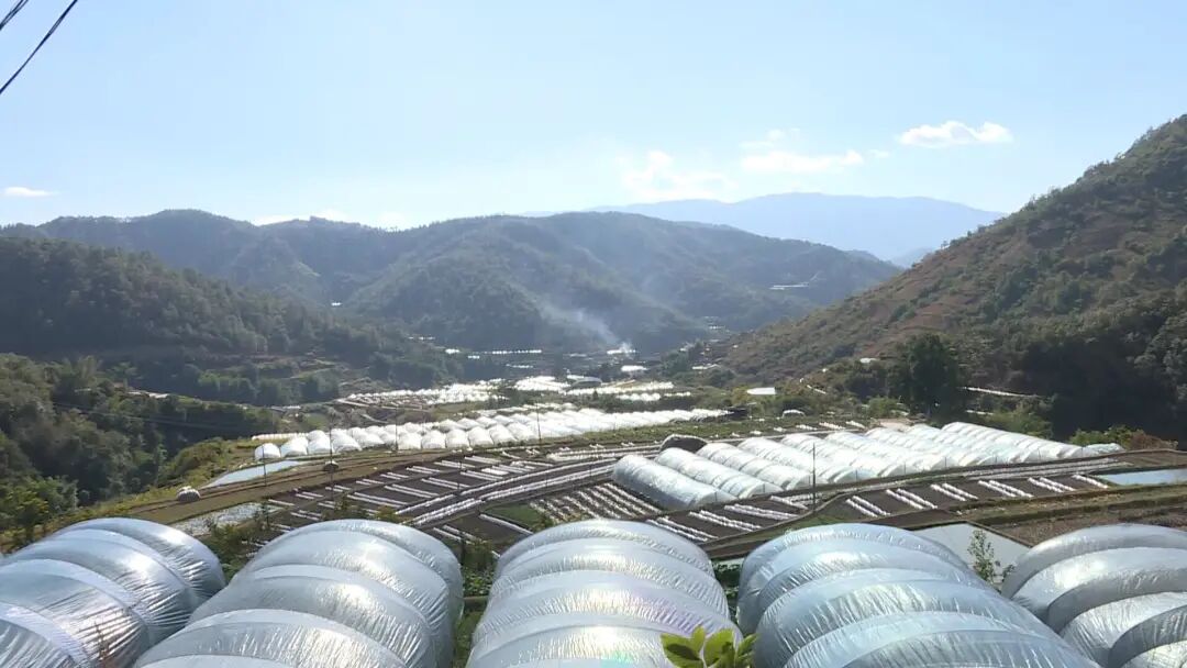 石屏县龙武镇以实干实绩推动党的二十大精神落地落实