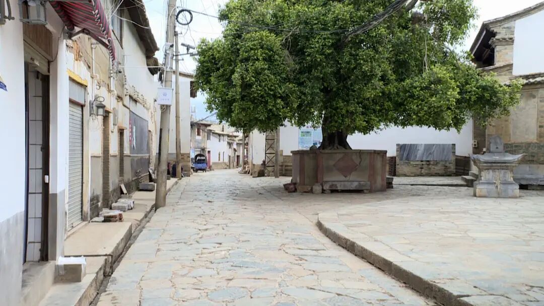 走向我们的小康生活宝秀郑营村好山好水换来群众新生活