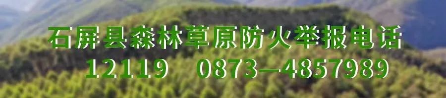 2024年06月02日 文山市天气