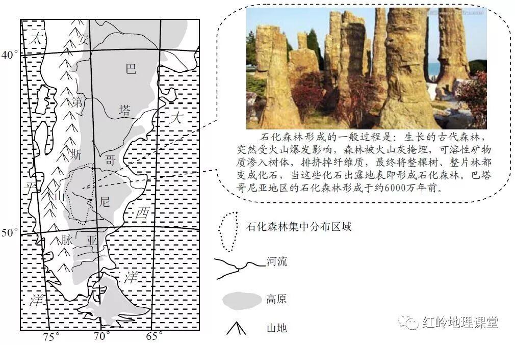 世界气候类型分布图及气候特征_澳大利亚气候分布特点_世界植被类型分布简图