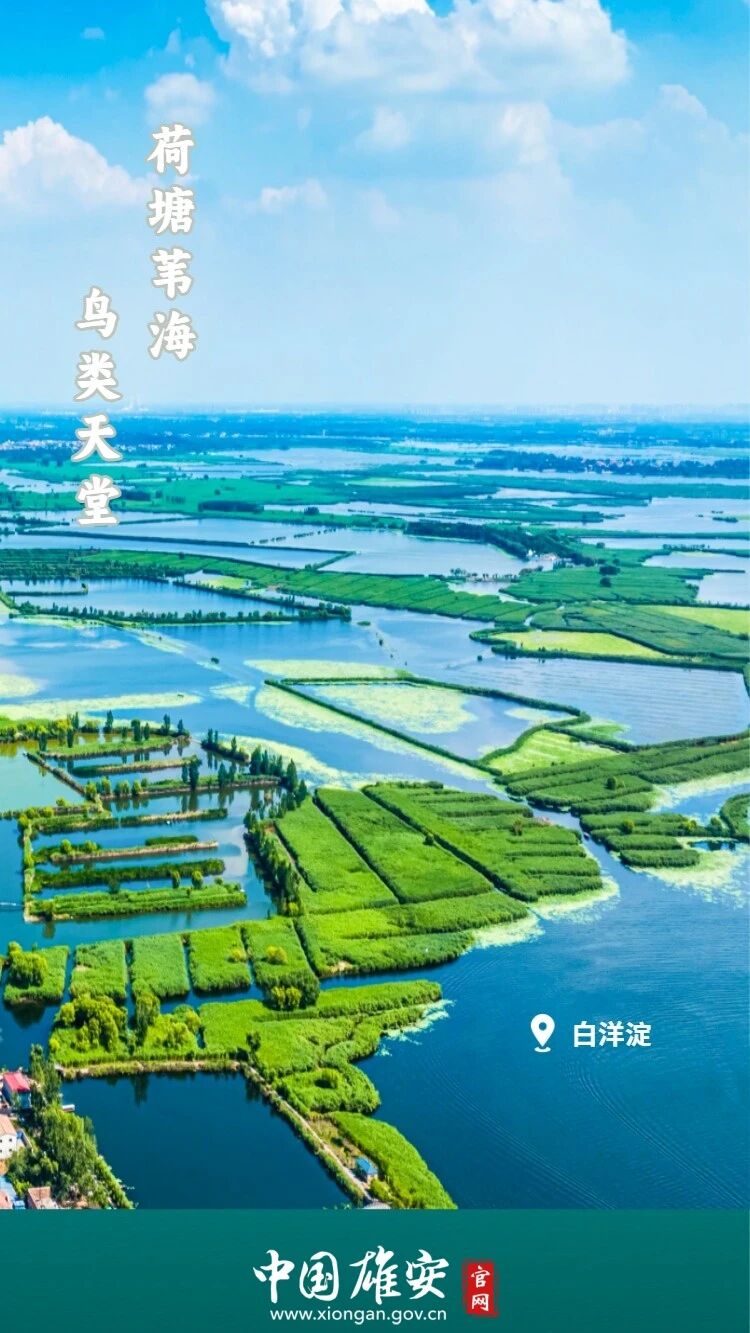 “五一”假期，雄安等你来！