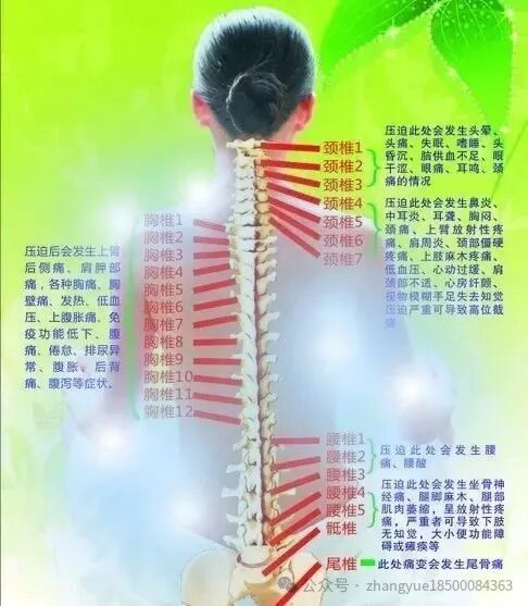 外展枕怎么使用干货 ｜ 针刀治疗要点规程定点定位_https://www.jmylbn.com_新闻资讯_第12张