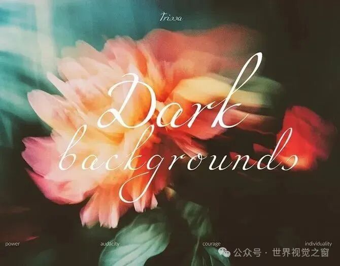 浪设计, 2025 年的 10 个平面设计趋势！！！