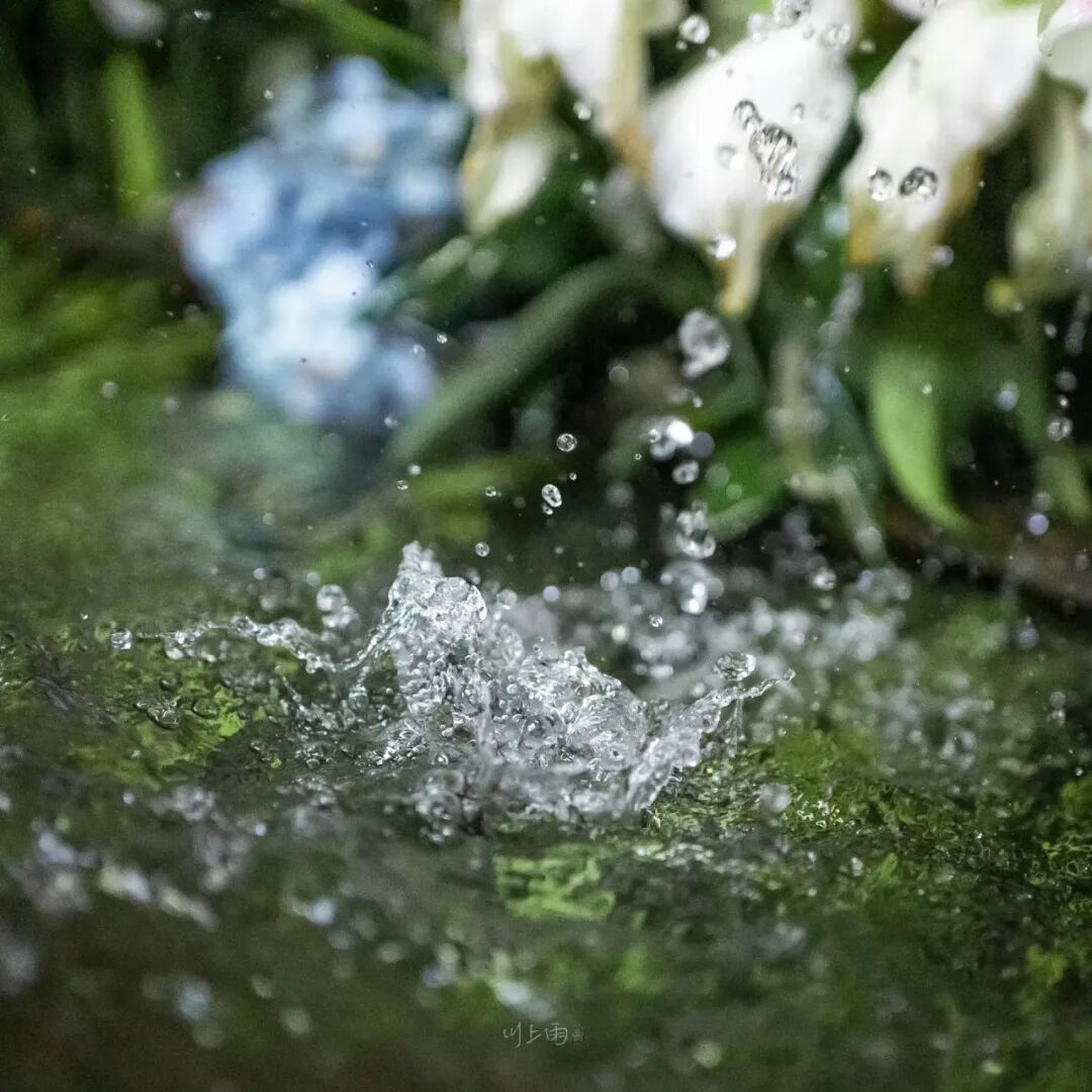 紫微贪狼在命宫-紫微斗数｜贪狼守命