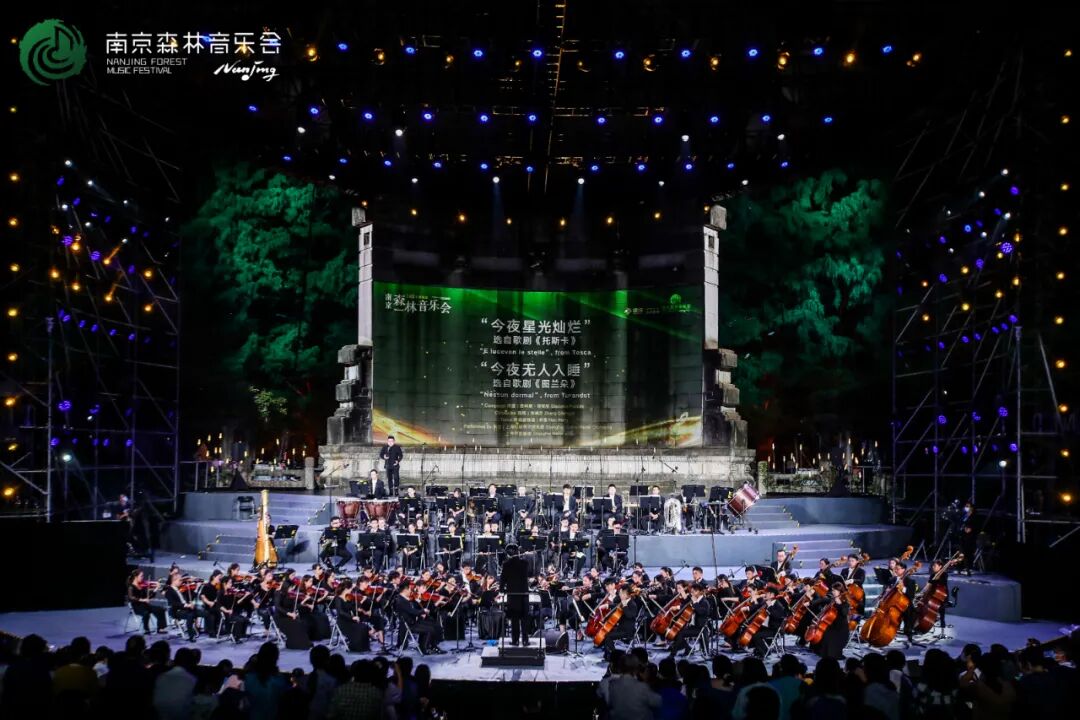 南京森林音乐会