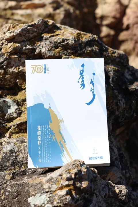 青山日出｜一场属于追光者的Mountain Walk 第27张