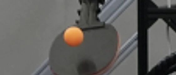 cover_image