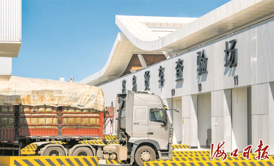 在海口新海港和南港“二线口岸”（货运）集中查验场内，出岛货车进入离岛货车查验场。海口市融媒体中心记者 康登淋 摄