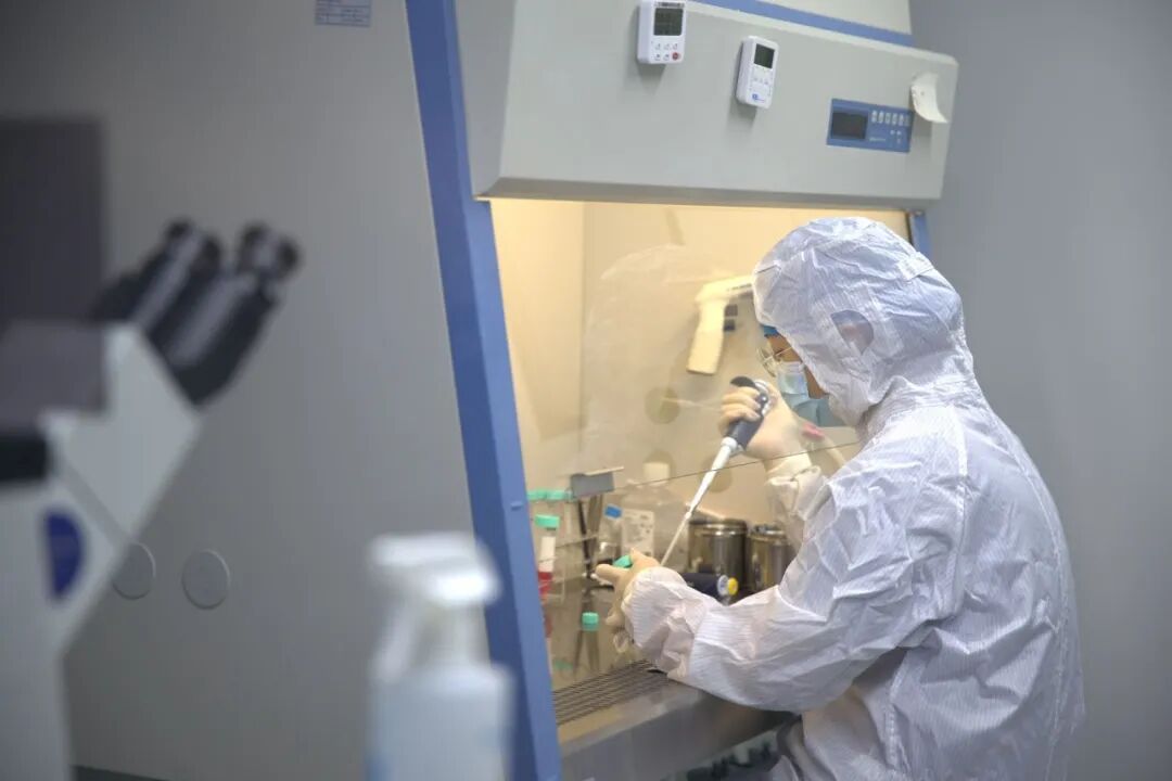 ▲达尔文生物科技有限公司的工作人员在药物研发中测试细胞培养条件 图/受访者提供