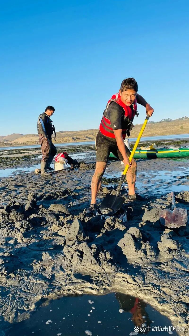 百度图片 - 更多高清美图