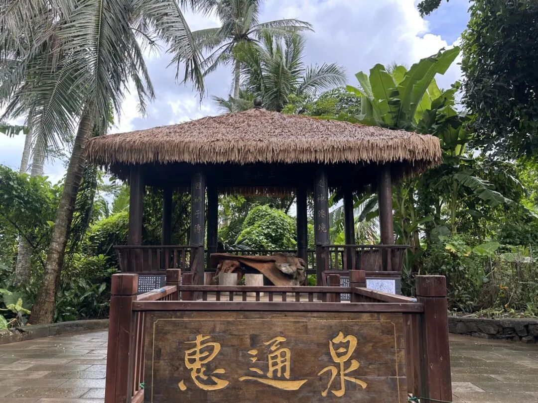 微信图片_2026-02-02_204653_423.jpg